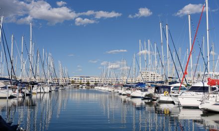 La protection de l’environnement au coeur du port