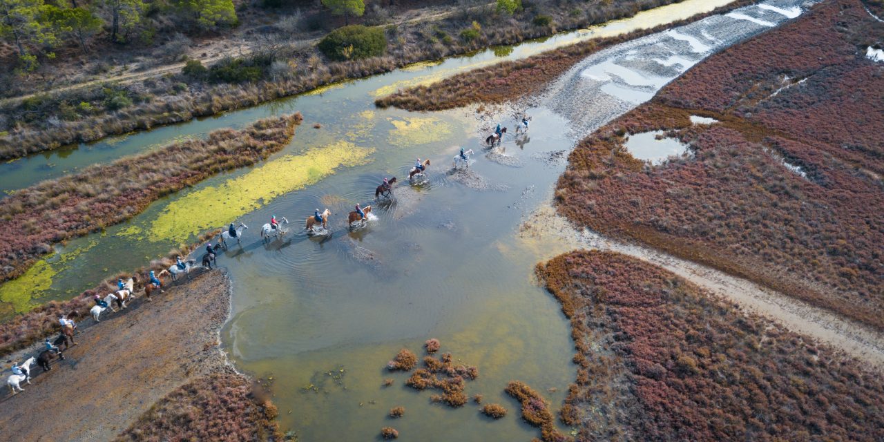 Découvrir la camargue à cheval