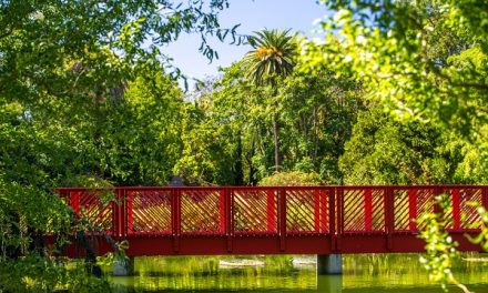 À vélo ou à pied, une lagune, un pont tournant…