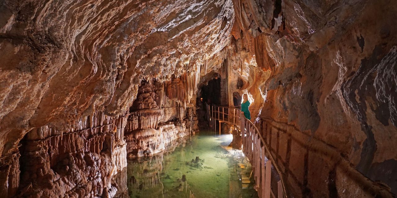 Ours et lustre géant à la Grotte de Limousis