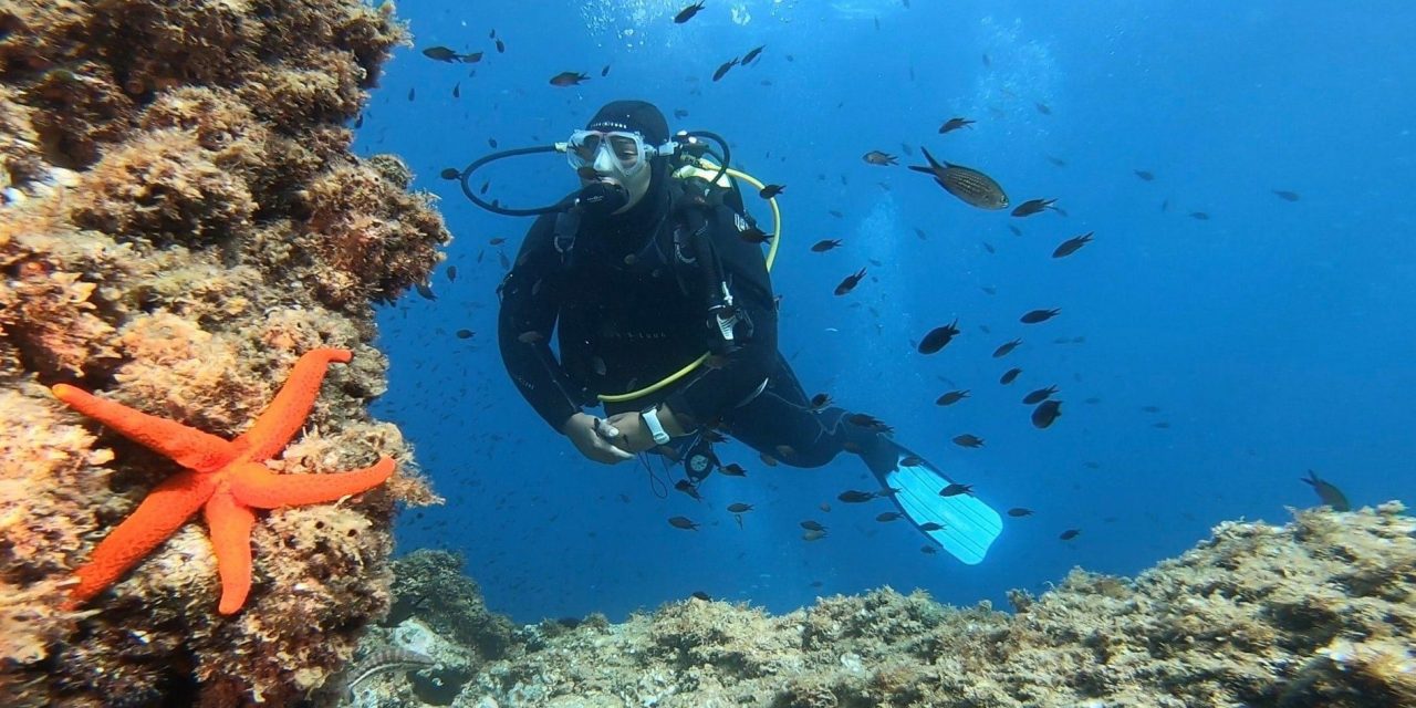 Oh ! La jolie étoile de mer