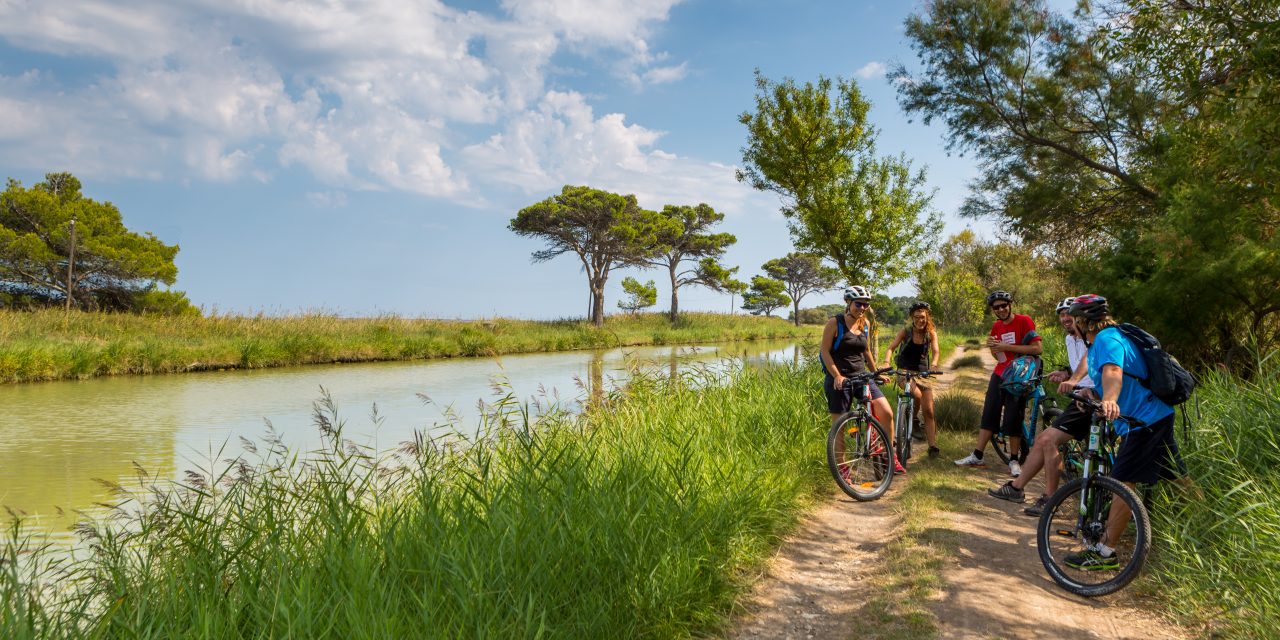 Trois circuits en bord de mer, à pied ou à vélo