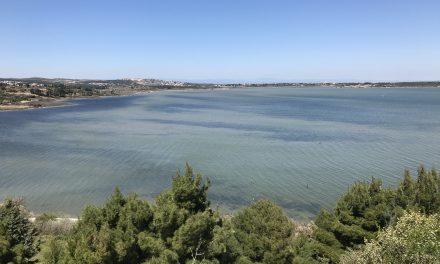 L’Etang de Bages-Sigean, une merveille