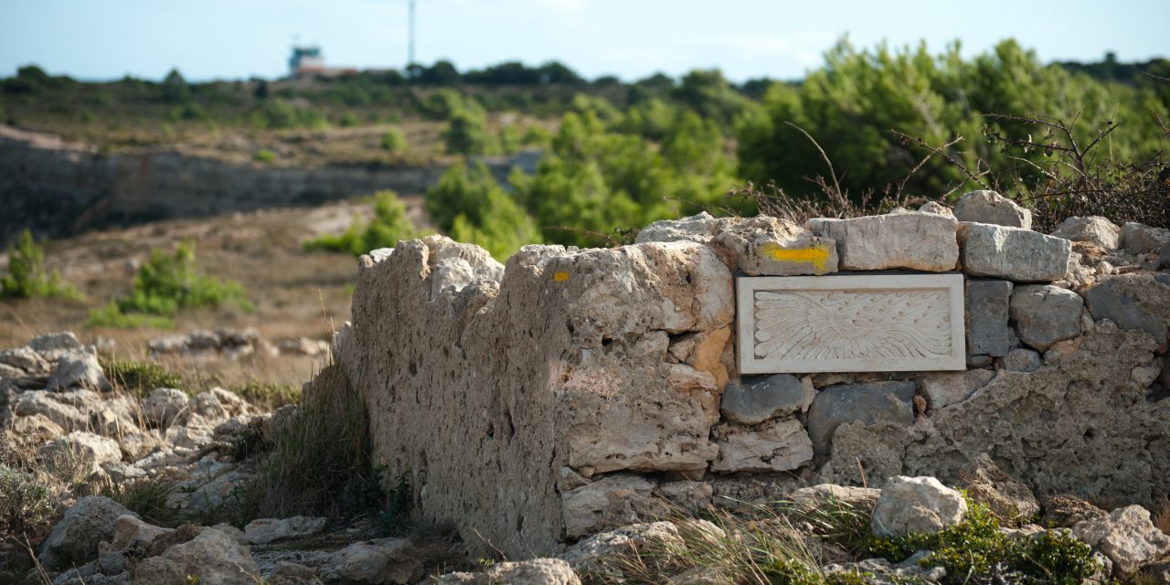 Vignes et falaise