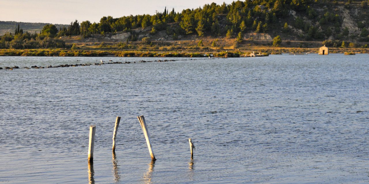 Un étang plus salé que la mer morte