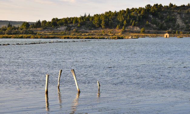 Un étang plus salé que la mer morte