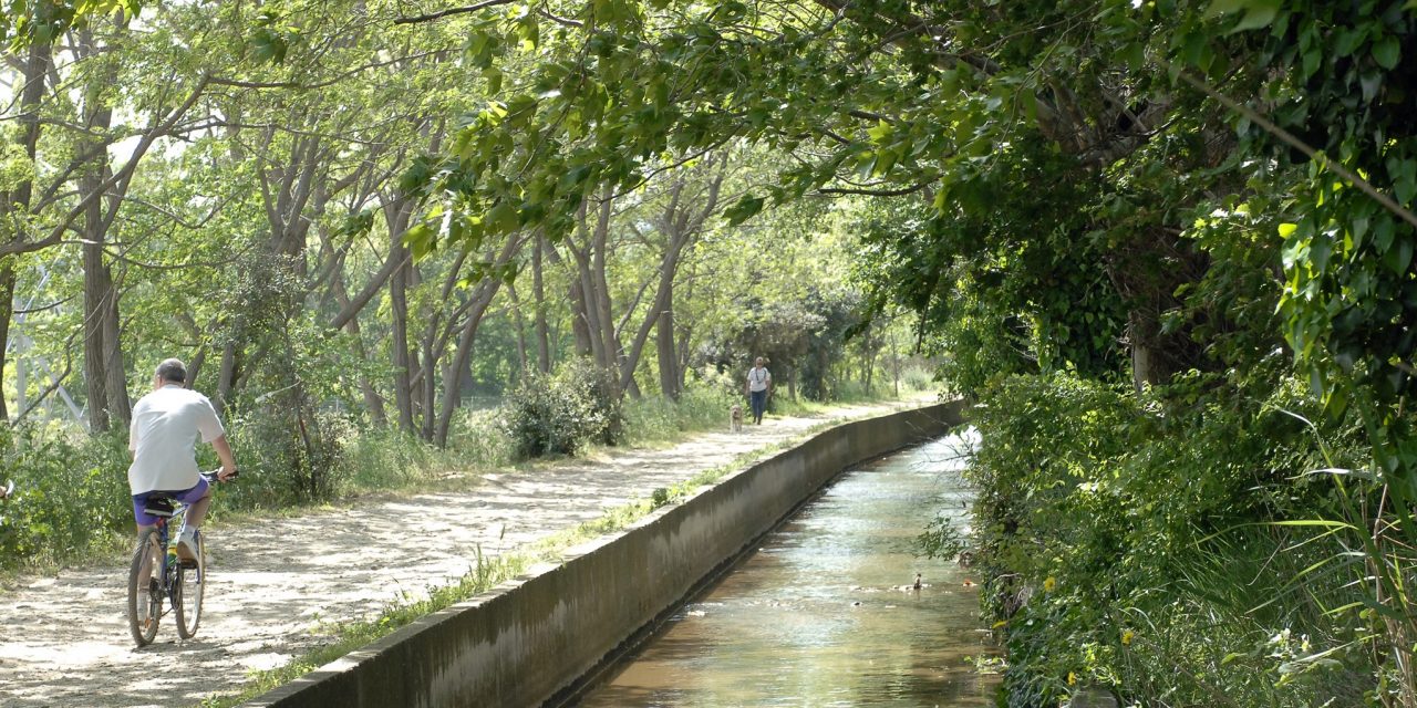 Belle balade à l’ombre