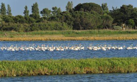 Atelier photo pour immortaliser nos paysages