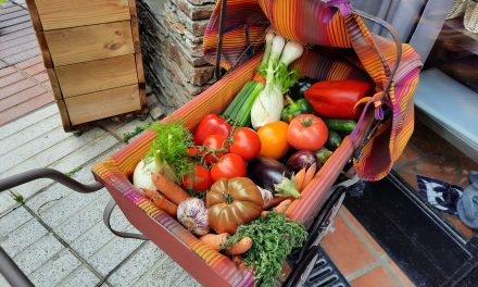 L’Escalivada, recette de toujours