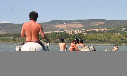 Un cheval, la nature et vous