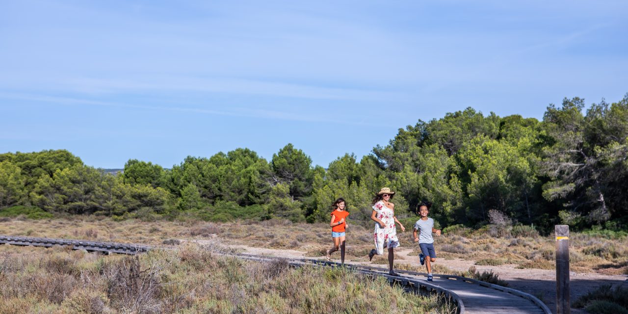 La randonnée des bois salés