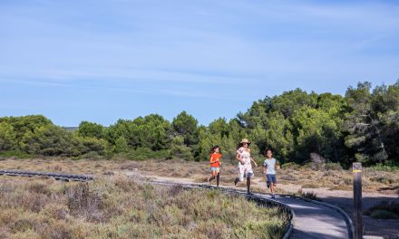 La randonnée des bois salés