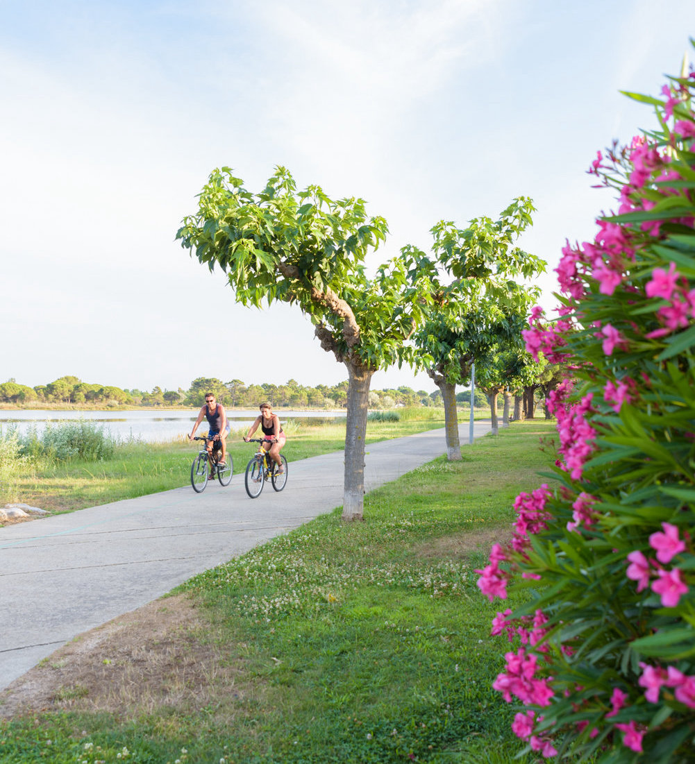 station balnéaire grau du roi, paysage grau du roi, office du TOURISME grau du roi, CAMARGUE, photographe christelle labrande, capitainerie, port camargue, bateaux, jardins du port, plaisanciers, bateaux, capitainerie port camargue, regate, grau du roi,