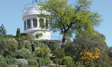 Un dimanche à Mauguio