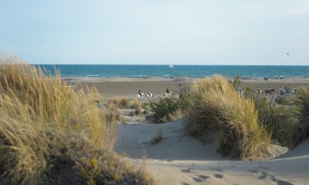 Plage protégée