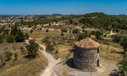 En chemin entre puechs, bois de garrigues et moulins à vent