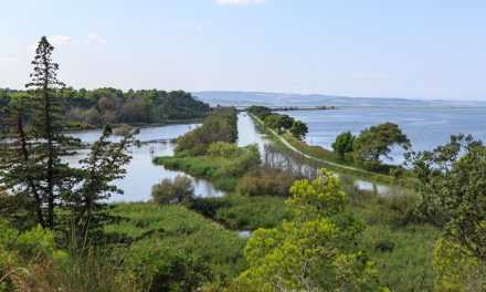 Un vélo et une île