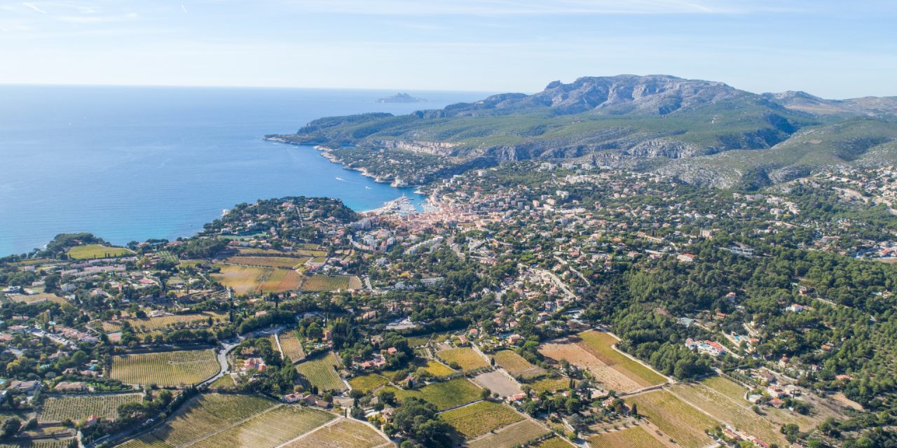 Balade au cœur des vignobles