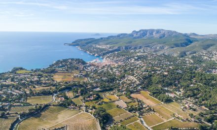 Balade au cœur des vignobles