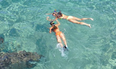 Évasion aquatique, Pointe des Sardinaux