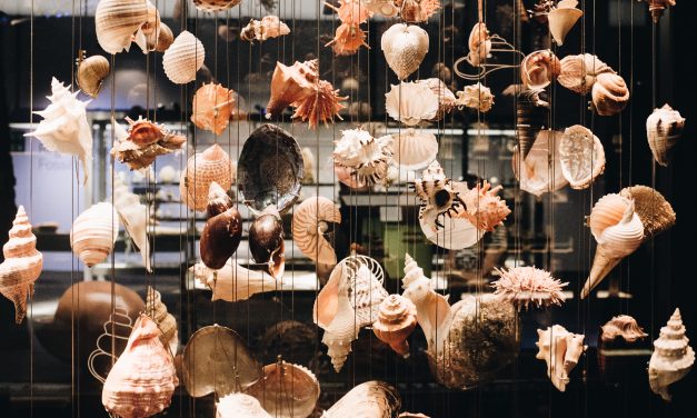 Coquillages & crustacés