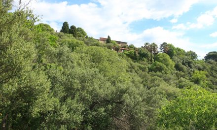 Un merveilleux jardin