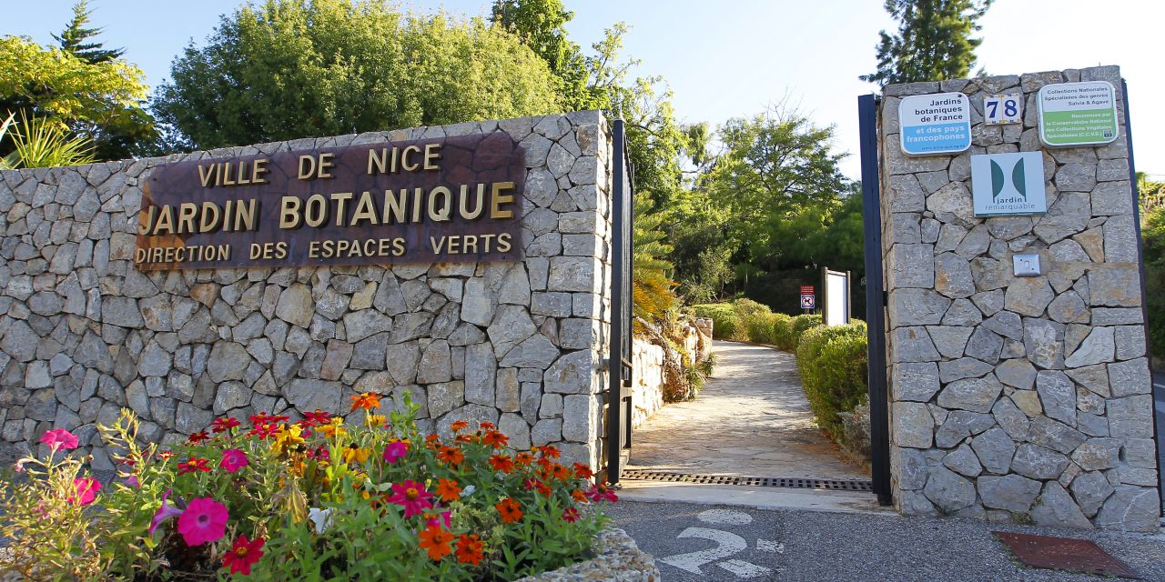 Le jardin botanique