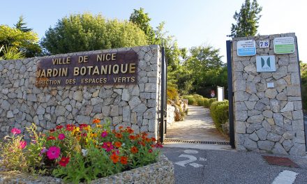 Le jardin botanique