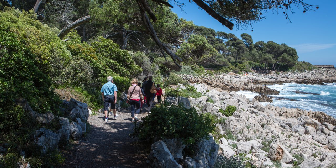 Le sentier de Tire-Poil : il décoiffe