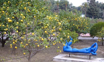 À l’ombre des orangers de Menton