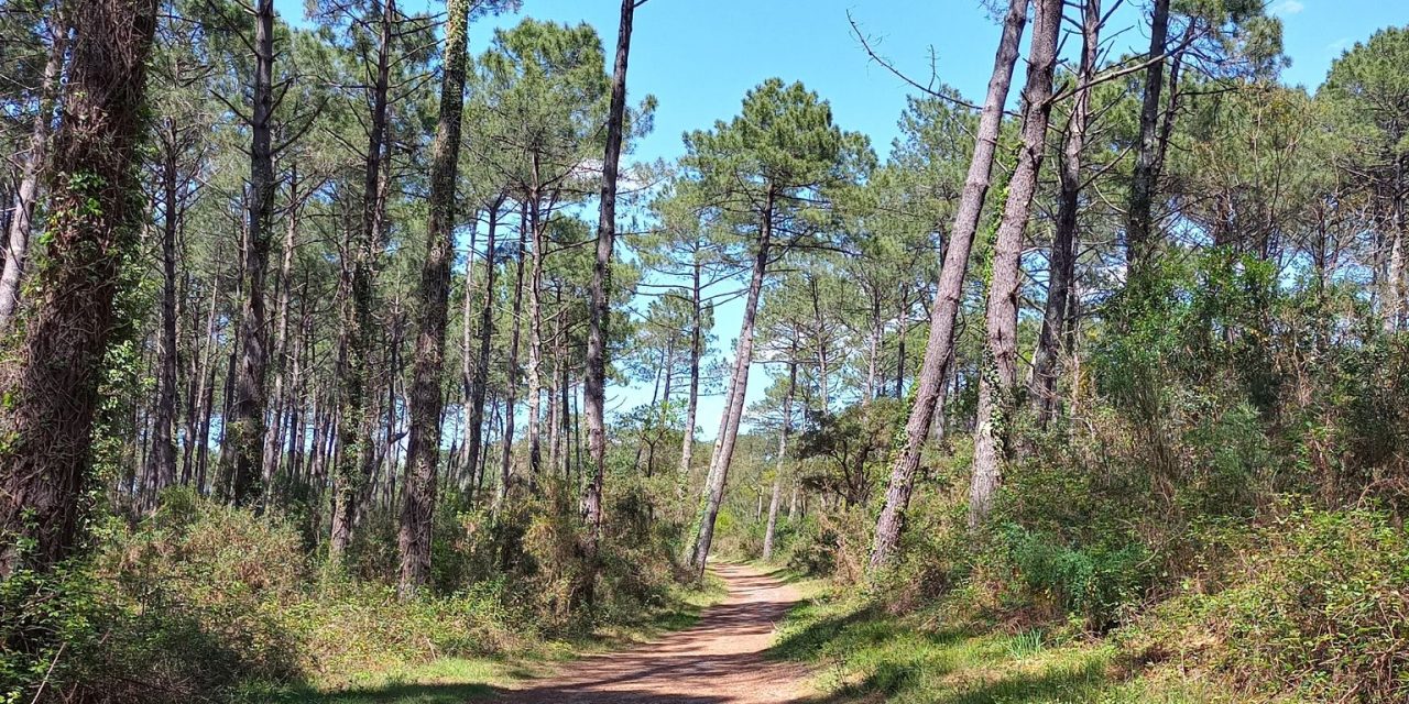 Circuit du ruisseau de la Prade