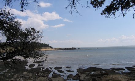 Sous les sentiers,  la plage