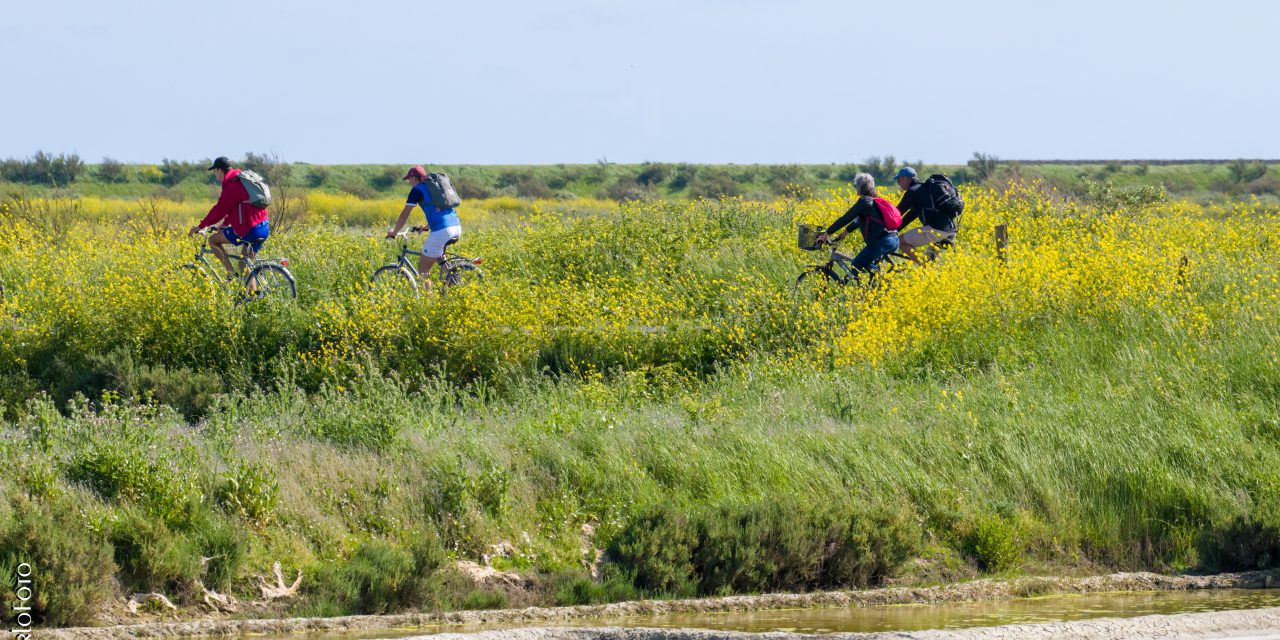 Une odyssée des plus sereines