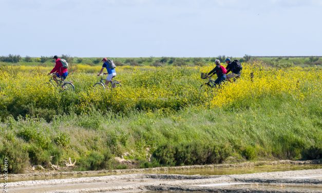 Une odyssée des plus sereines