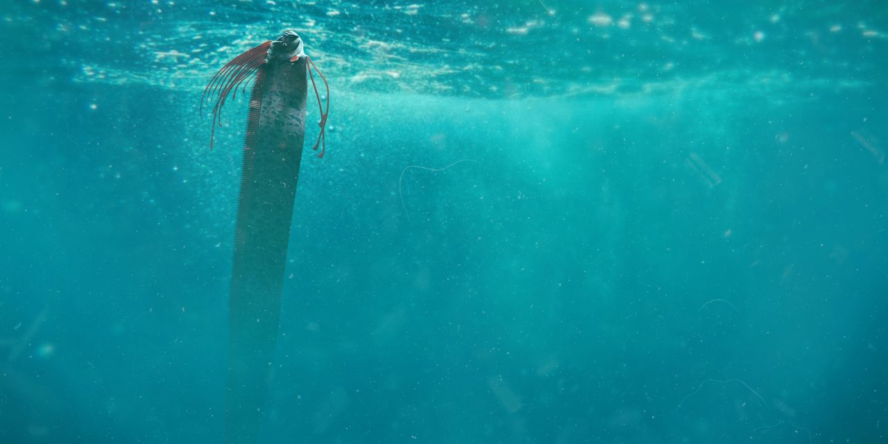 Dans les abysses du Gouf