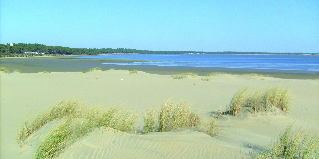 Admirez la biodiversité sur le littoral des Mathes