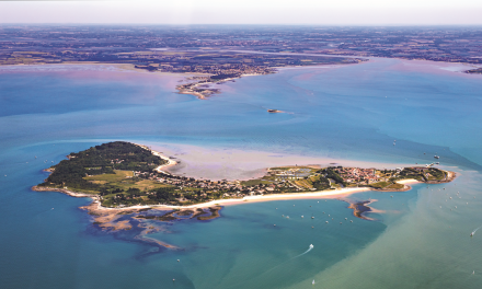 Le tour de l’île en bateau, ça vous dit ?