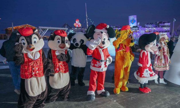 LES TOONS DISNEY