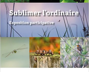 Exposition aux Marais du Vigueirat