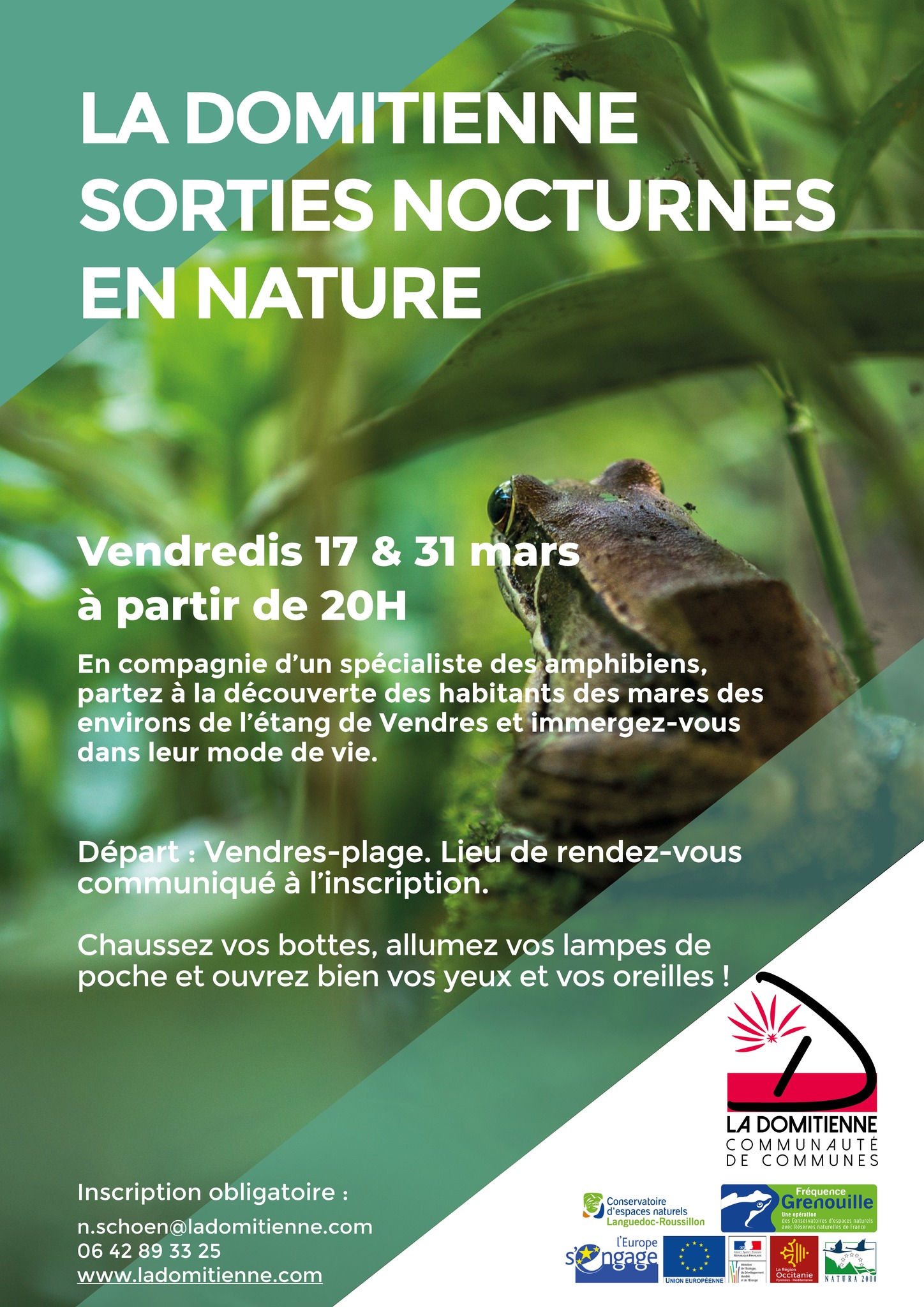 SORTIES NOCTURNES EN NATURE