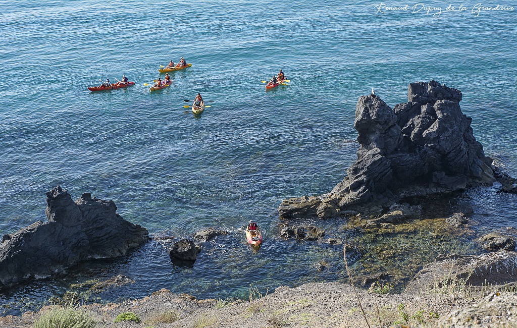 PROMENADE NATURALISTE EN KAYAK DE MER