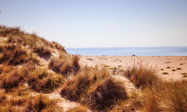 ATELIER SOPHRO-PLAGE – MAISON DES ORPELLIÈRES