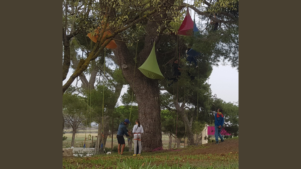 ATELIERS COOPÈRE 34 – GRIMPE D’ARBRE & SALON DE LECTURE PERCHÉ – ASSOCIATION VOYAGE AU BOUT DE LA CÎME