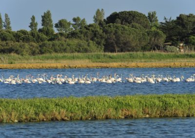 DÉCOUVERTE DE LA GRANDE MAÏRE, SITE NATUREL PROTÉGÉ