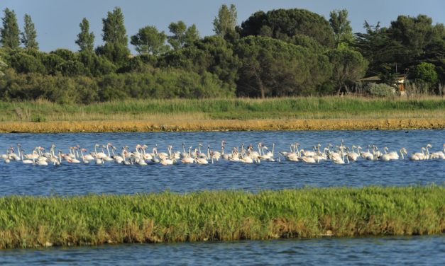 DÉCOUVERTE DE LA GRANDE MAÏRE, SITE NATUREL PROTÉGÉ