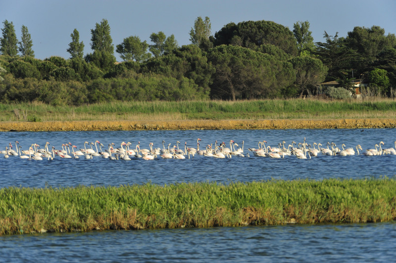 DÉCOUVERTE DE LA GRANDE MAÏRE, SITE NATUREL PROTÉGÉ