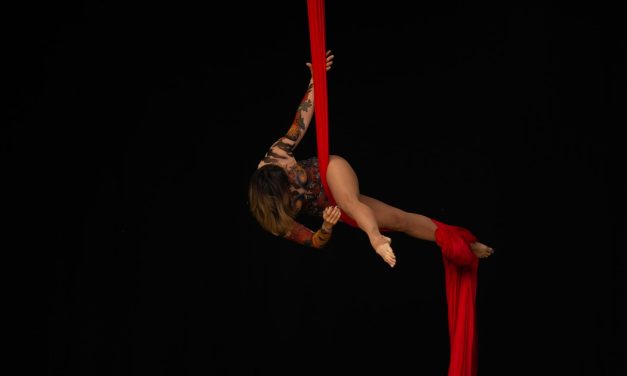 Festival de cirque contemporain