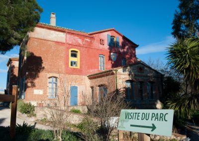 VISITE DE L’ARBORETUM ET CUEILLETTE DE FRUITS