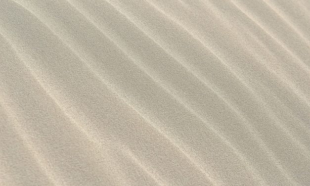 Sortie nature : Que se passe-t-il sur les dunes de Sokoburu ?