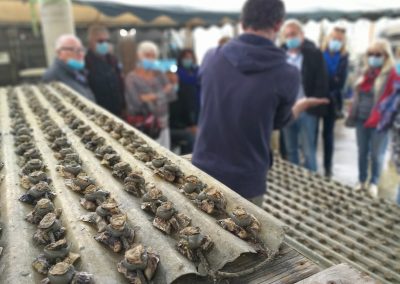 VISITE AUTOUR DE LA LAGUNE EN MINI-BUS AVEC SÈTE GRAND TOUR